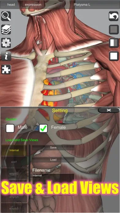 3D Bones and Muscles (Anatomy) screenshot 5