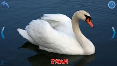 Animals for Kids, full game screenshot 3