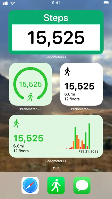 Pedometer++ screenshot 3