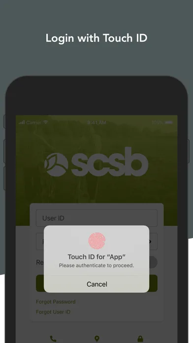 SCSB screenshot 2