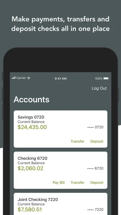 SCSB screenshot 3
