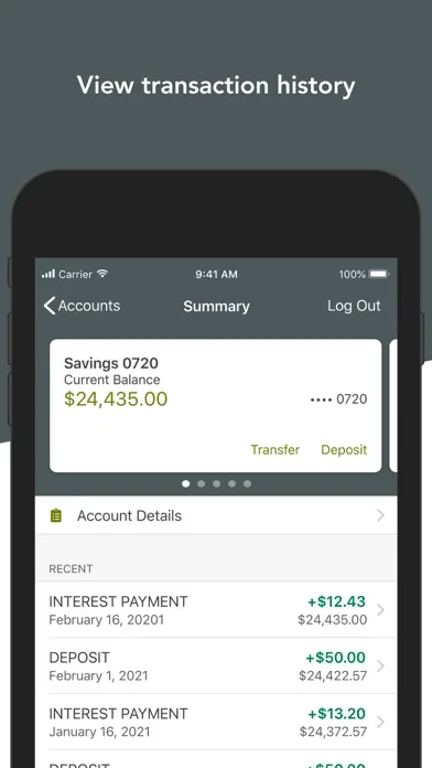SCSB screenshot 4