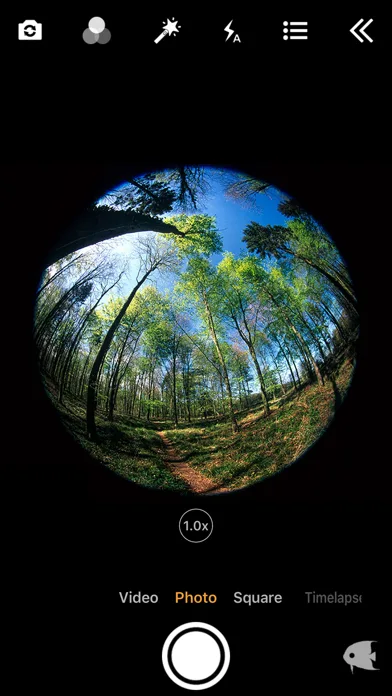 FishEyeVideo Square screenshot 3