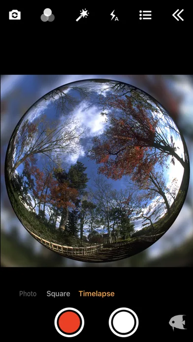 FishEyeVideo Square screenshot 4
