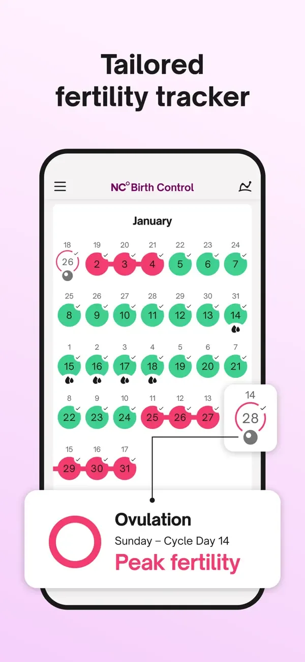Natural Cycles Fertility App screenshot 3
