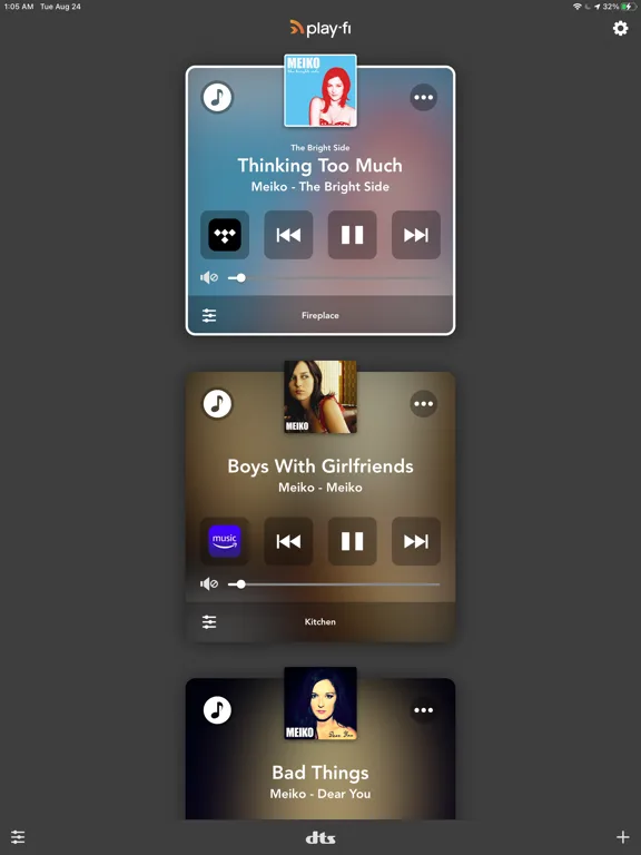 Play-Fi screenshot 5