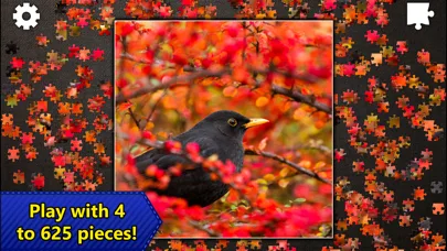 Jigsaw Puzzles Epic screenshot 5