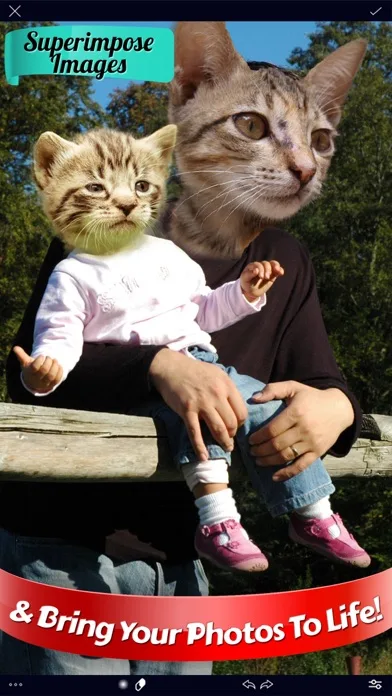 Overlay: AI Photo Design screenshot 4
