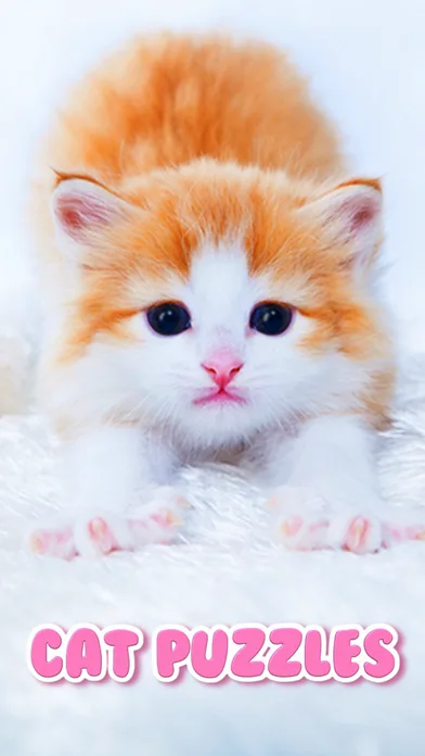 Cat Kitten Jigsaw Puzzle Games screenshot 1