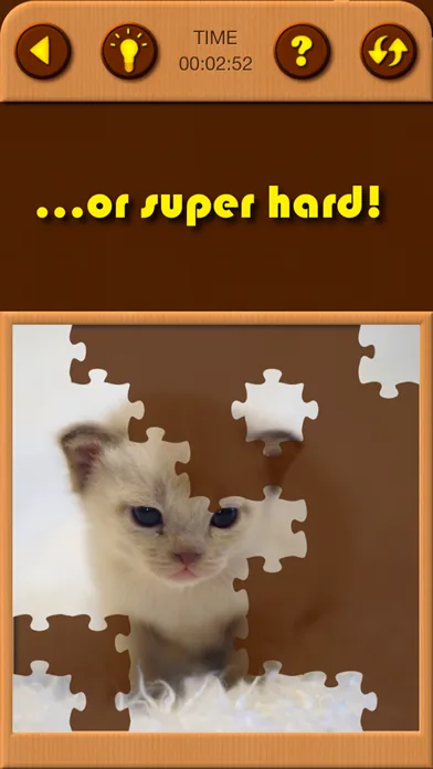 Cat Kitten Jigsaw Puzzle Games screenshot 4