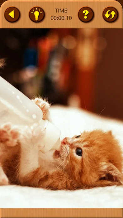 Cat Kitten Jigsaw Puzzle Games screenshot 5