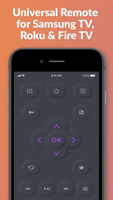TV Remote ‣ screenshot 1