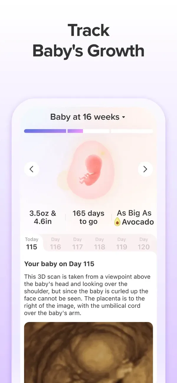 Nurture Pregnancy Week by Week screenshot 4