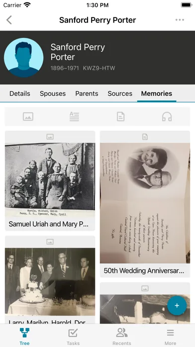 FamilySearch Tree screenshot 3