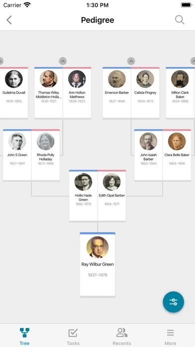 FamilySearch Tree screenshot 4