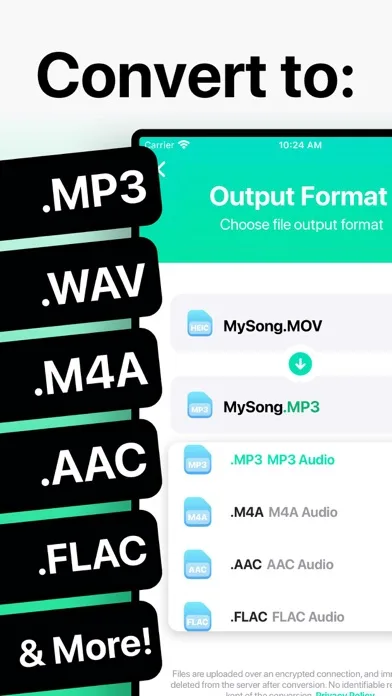 The Audio Converter screenshot 1