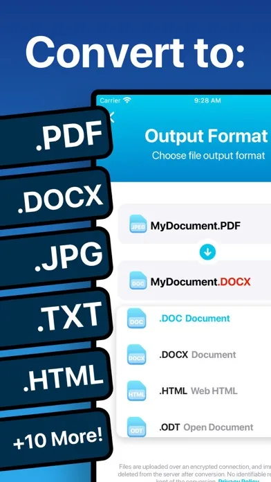 The Document Converter screenshot 1