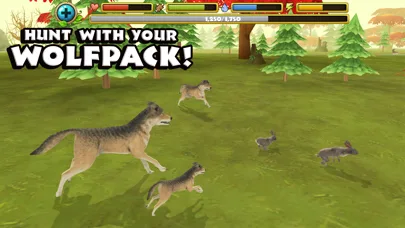 Wildlife Simulator: Wolf screenshot 3