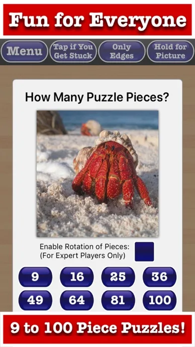 Stress Free Jigsaw Puzzles screenshot 2
