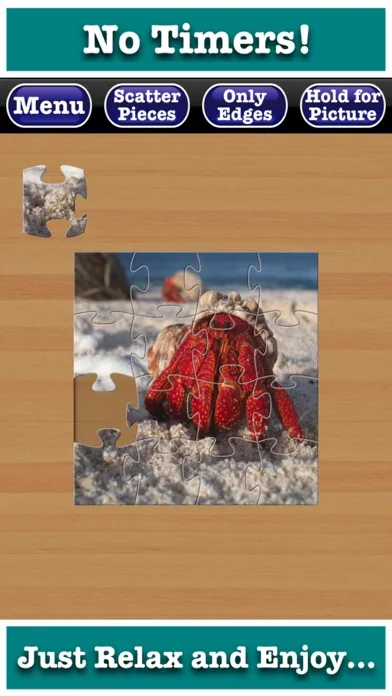 Stress Free Jigsaw Puzzles screenshot 3