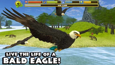 Eagle Simulator screenshot 1