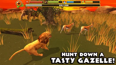 Safari Simulator: Lion screenshot 3