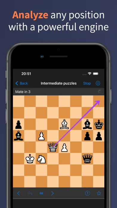 Chess Tactics Pro (Puzzles) screenshot 3