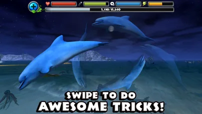 Dolphin Simulator screenshot 3