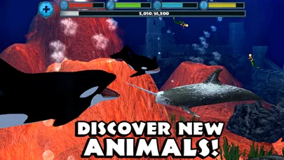 Orca Simulator screenshot 5