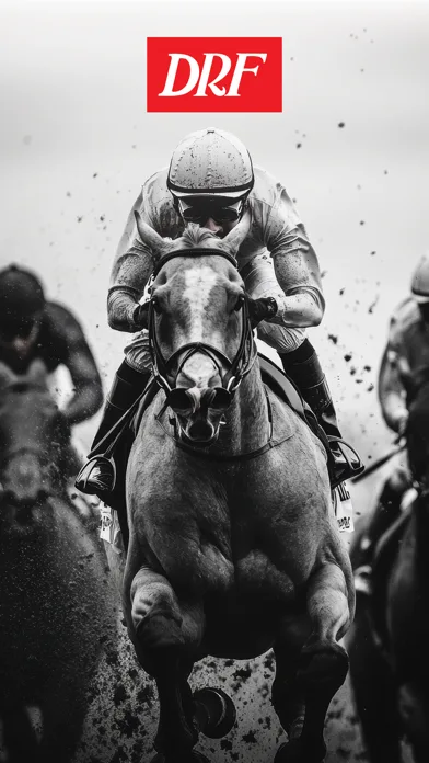 DRF Horse Racing News & Data screenshot 2