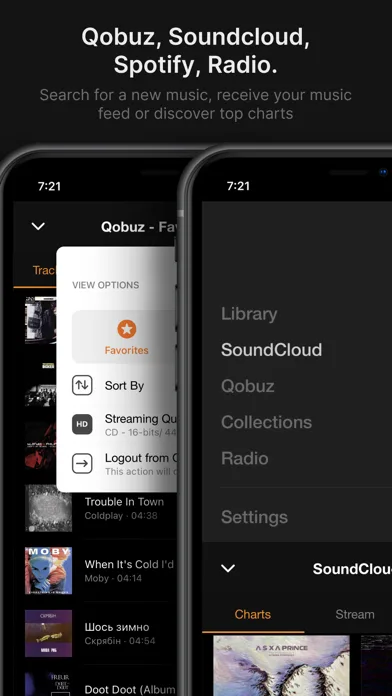 VOX – MP3 & FLAC Music Player screenshot 2