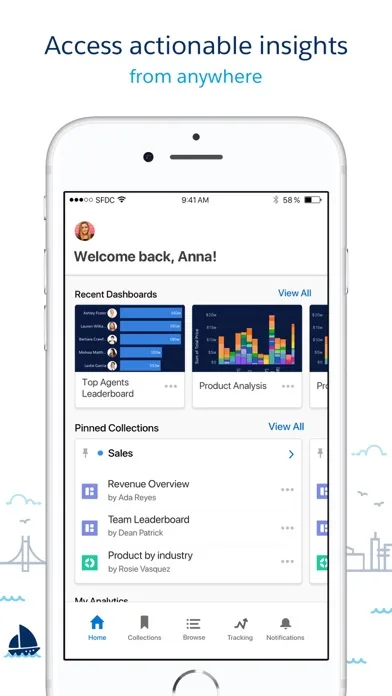 CRM Analytics screenshot 3