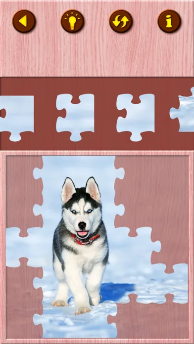 Cute Puppy Jigsaw Puzzle Games screenshot 5