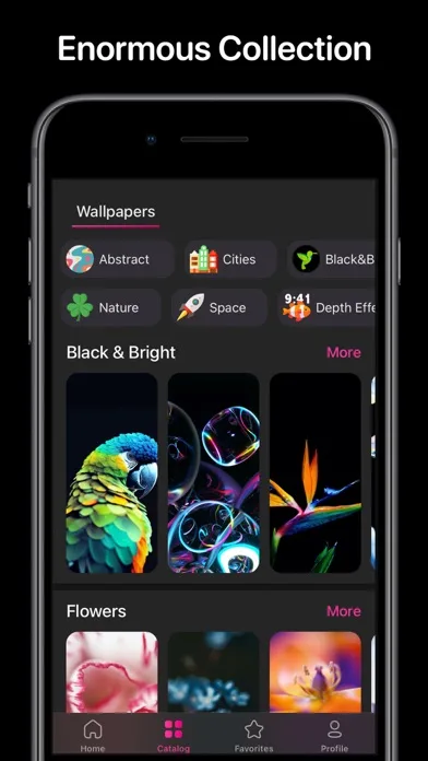 Everpix Wallpapers for iPhone screenshot 5