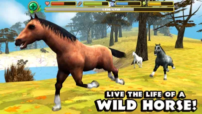 Wild Horse Simulator screenshot 1