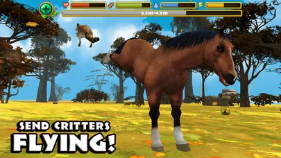 Wild Horse Simulator screenshot 5