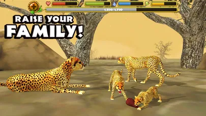 Cheetah Simulator screenshot 4