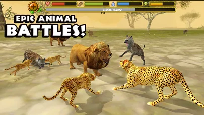 Cheetah Simulator screenshot 5