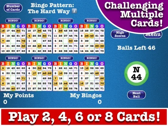 Totally Free-Space Bingo! screenshot 4
