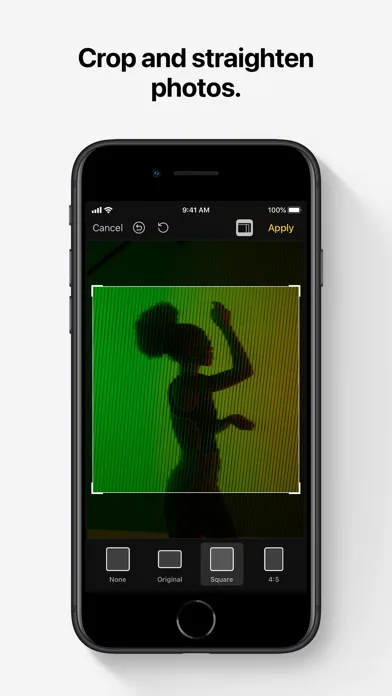 Pixelmator Classic iOS screenshot 5