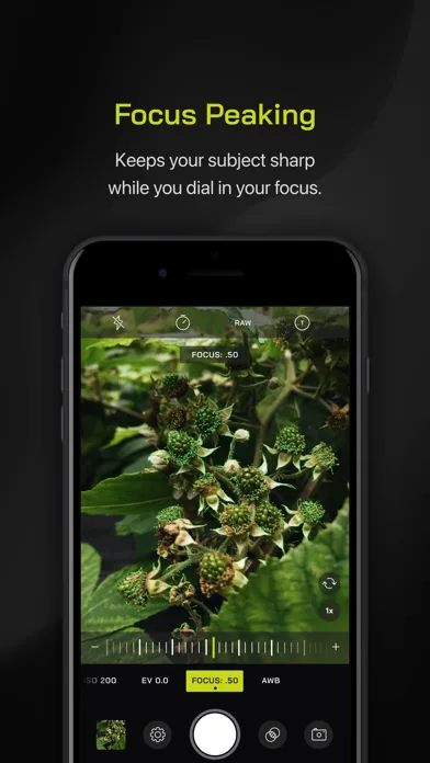 Pro Camera by Moment screenshot 3