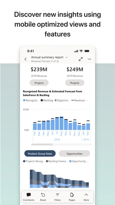 Microsoft Power BI screenshot 2