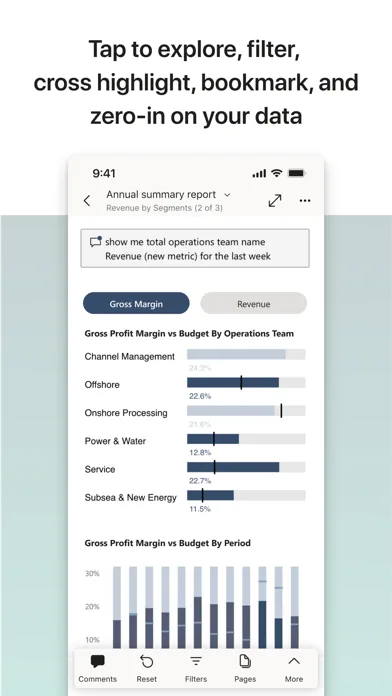 Microsoft Power BI screenshot 3