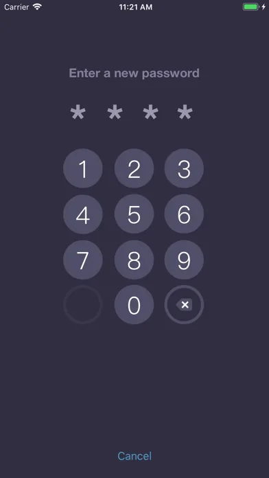 Expenses OK - expenses tracker screenshot 4