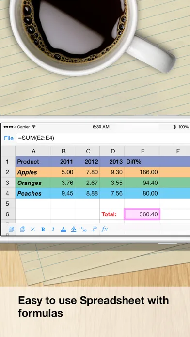 iSpreadsheet™ screenshot 2