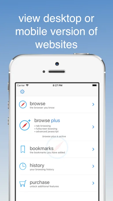 Desktop Browser screenshot 2
