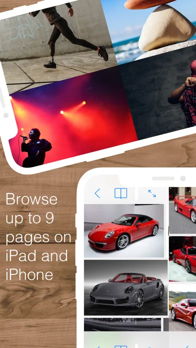 Split Web Browser screenshot 3
