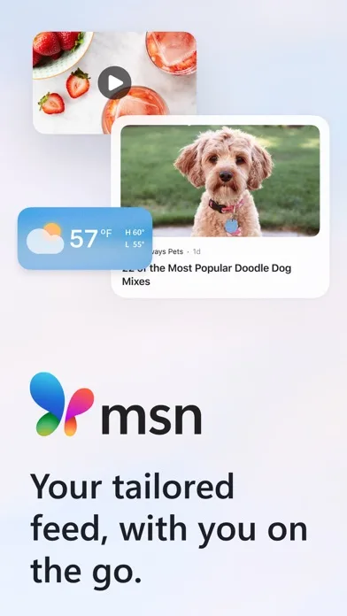 MSN screenshot 1
