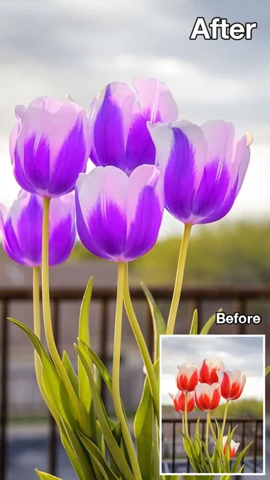 Color Changer-Coloring Editor screenshot 3