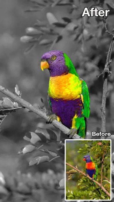 Color Changer-Coloring Editor screenshot 5
